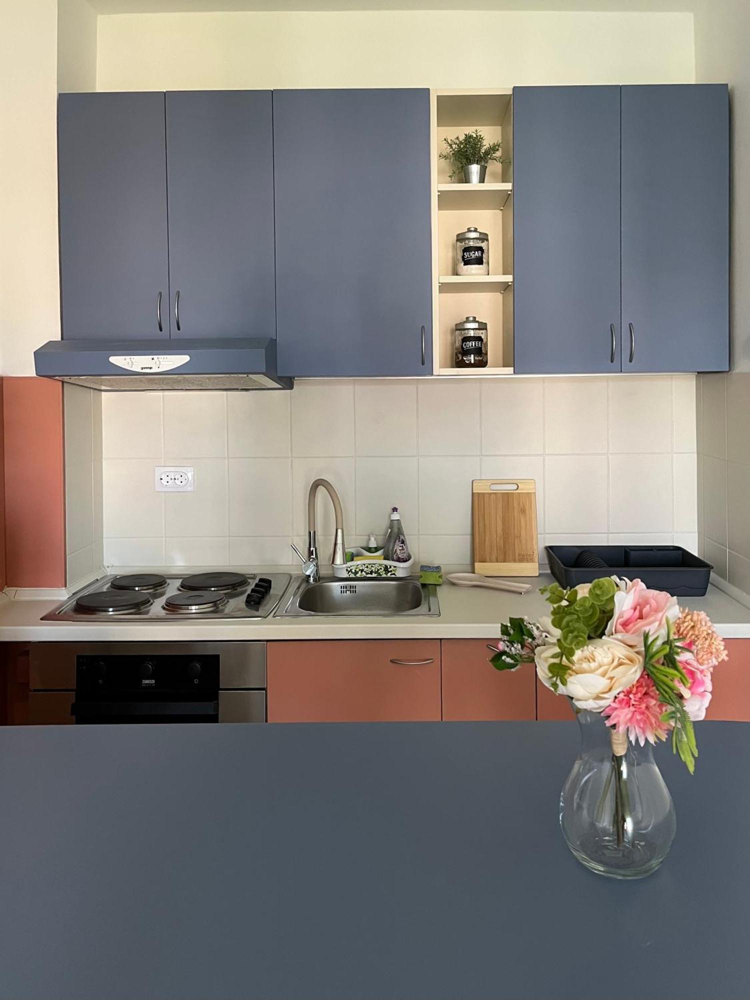 Apartment Vera With Free Garage Нови Сад Екстериор снимка