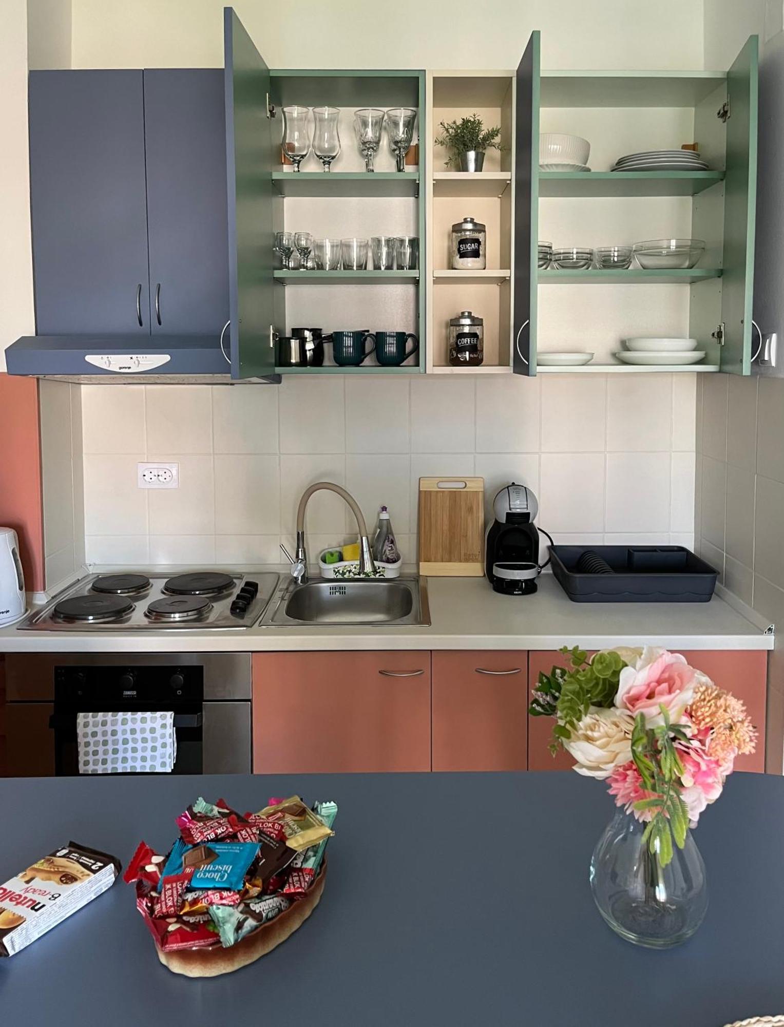 Apartment Vera With Free Garage Нови Сад Екстериор снимка